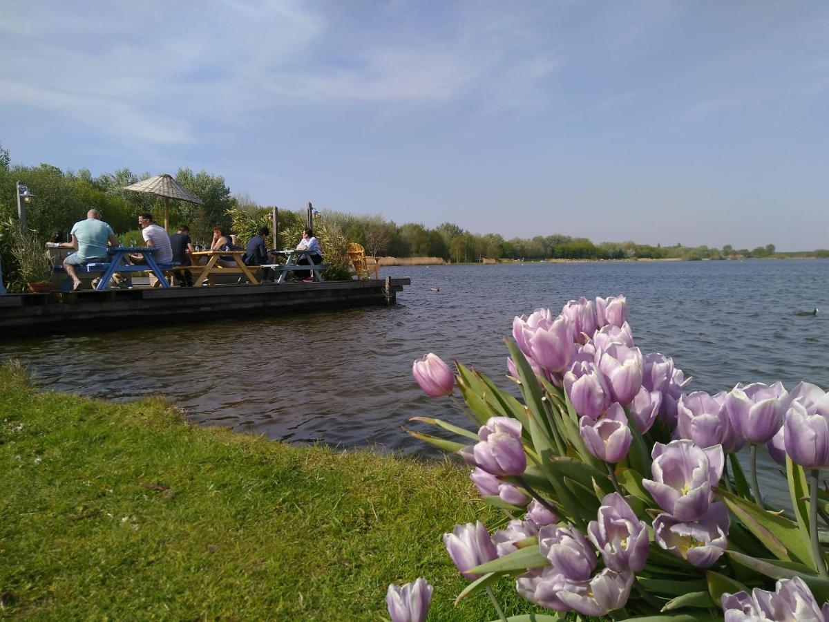 Het Zeepaartje, Knus En Gezellig Villa Нордвейкерхаут Екстериор снимка